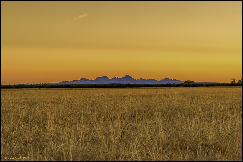 Sutter Buttes Sunset from Butte County