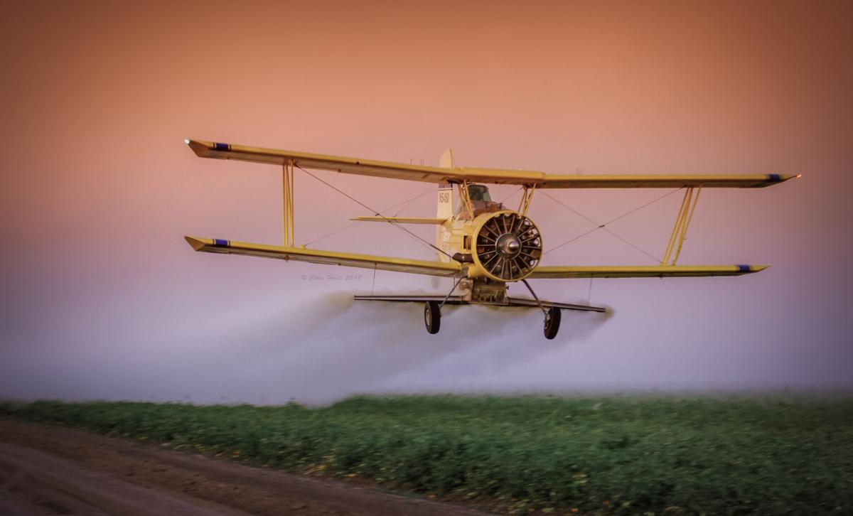 Sulfur Sunrise